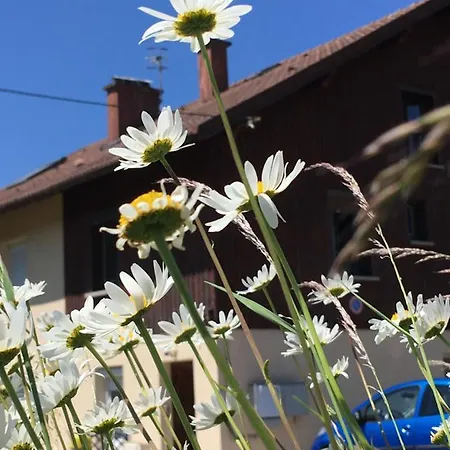 아파트 Le Petit Beillard *