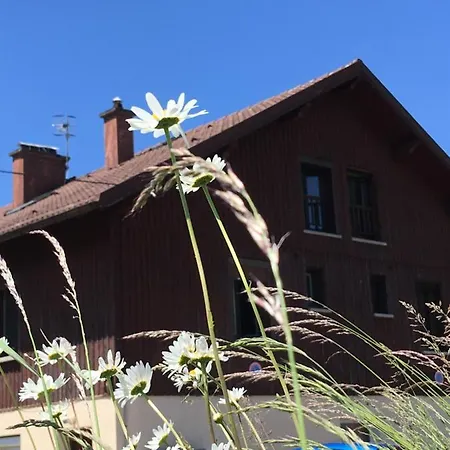 公寓 Le Petit Beillard 热拉梅