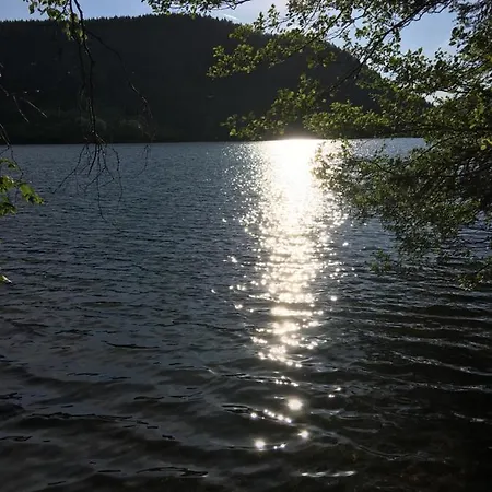 公寓 Le Petit Beillard *