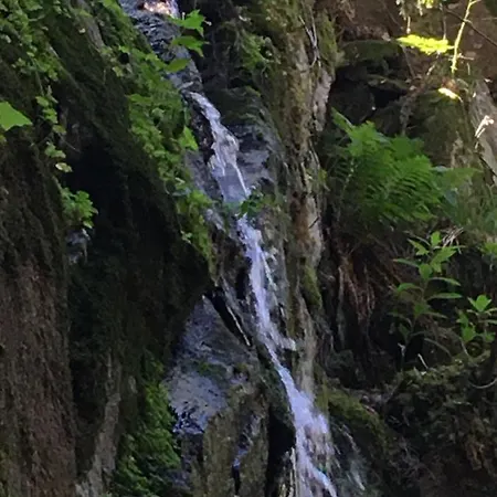 아파트 Le Petit Beillard 제라르메르