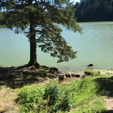 Le Petit Beillard Gerardmer