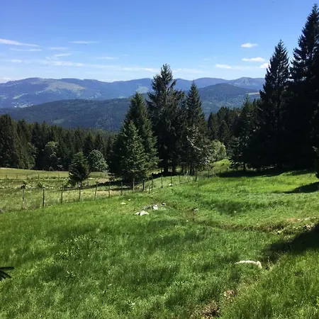 Апартаменты Le Petit Beillard Жерарме