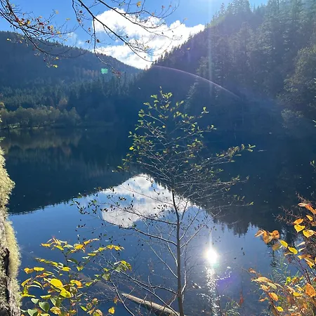 Le Petit Beillard Апартаменты *