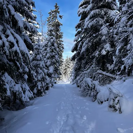 Апартаменты Le Petit Beillard Жерарме