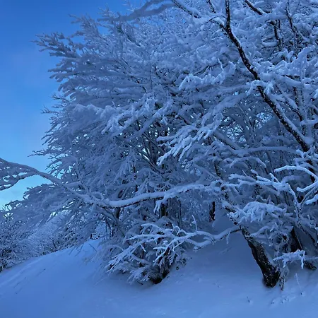 Le Petit Beillard Gerardmer