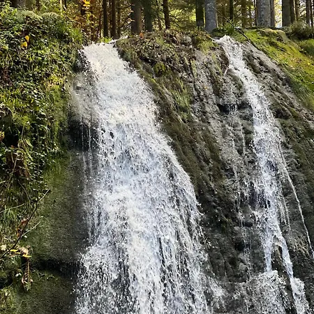 Le Petit Beillard Gérardmer