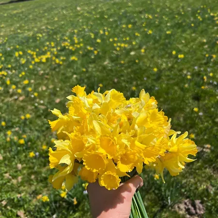 Le Petit Beillard Апартаменты *