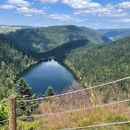 Апартаменты Le Petit Beillard *