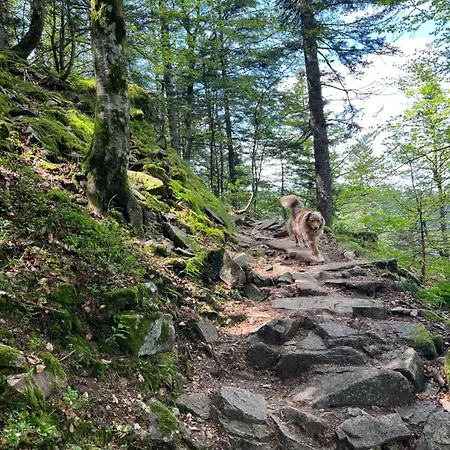 Le Petit Beillard Апартаменты Жерарме