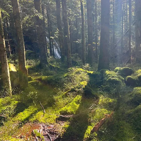 Le Petit Beillard Апартаменты