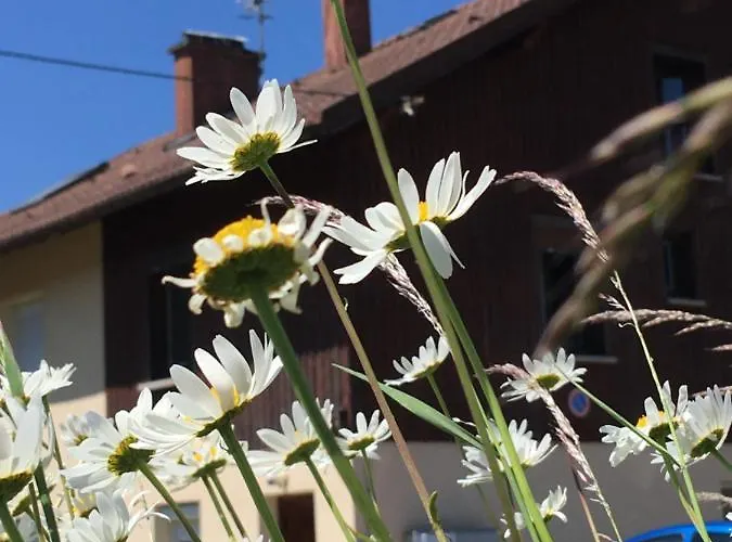 Διαμέρισμα Le Petit Beillard *