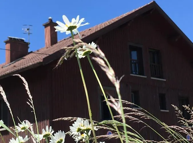 Διαμέρισμα Le Petit Beillard Gérardmer