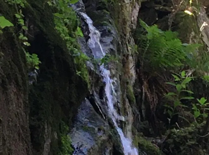 Διαμέρισμα Le Petit Beillard Gérardmer