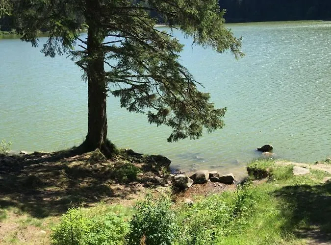 Le Petit Beillard Gérardmer