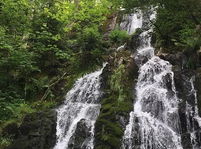 Le Petit Beillard Διαμέρισμα *