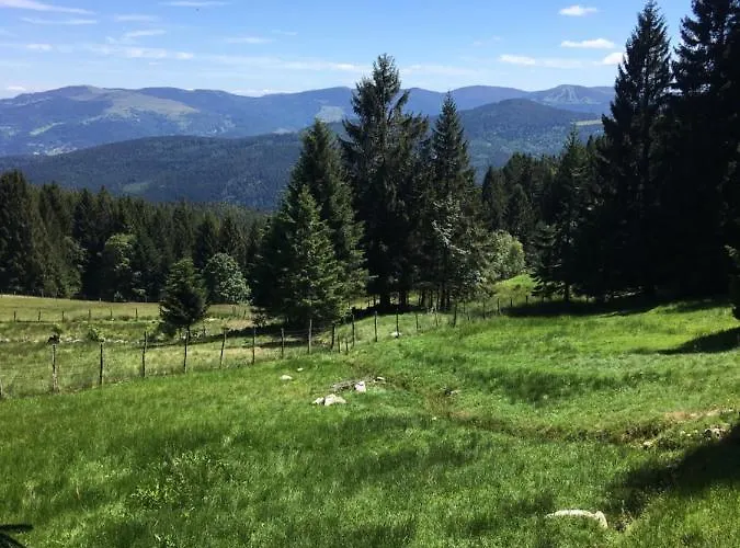 Διαμέρισμα Le Petit Beillard Gérardmer