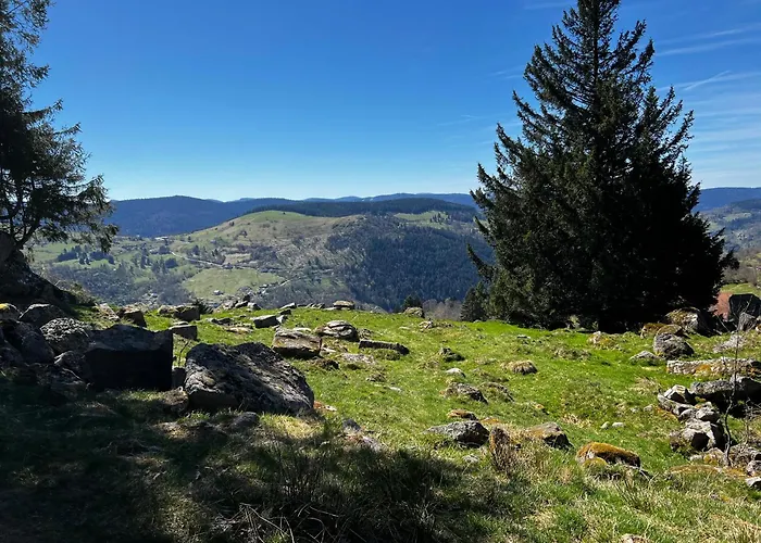 Le Petit Beillard Διαμέρισμα