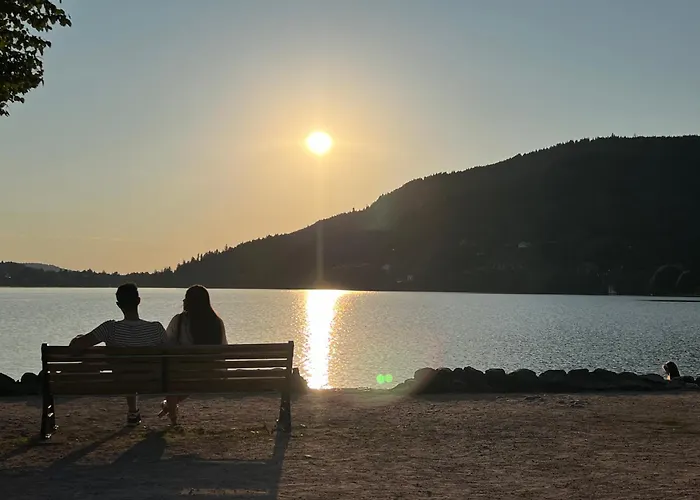 Le Petit Beillard Διαμέρισμα Gérardmer