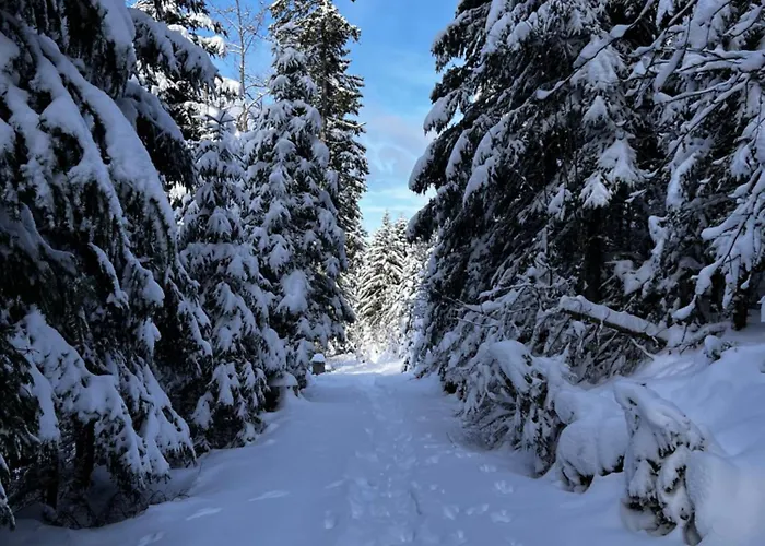 Διαμέρισμα Le Petit Beillard Gérardmer