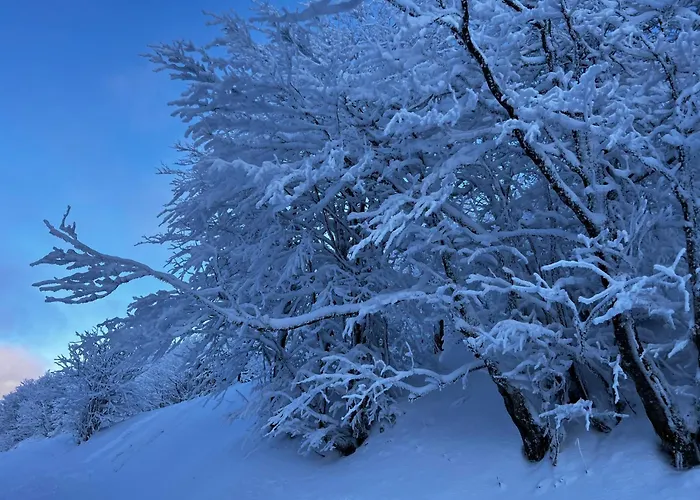 Le Petit Beillard Gérardmer