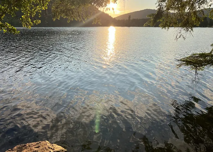 Le Petit Beillard Διαμέρισμα Gérardmer