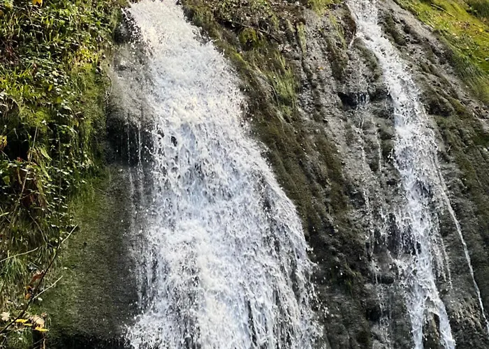 Le Petit Beillard Gérardmer