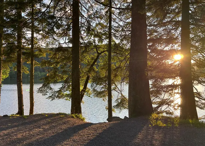 Le Petit Beillard Διαμέρισμα