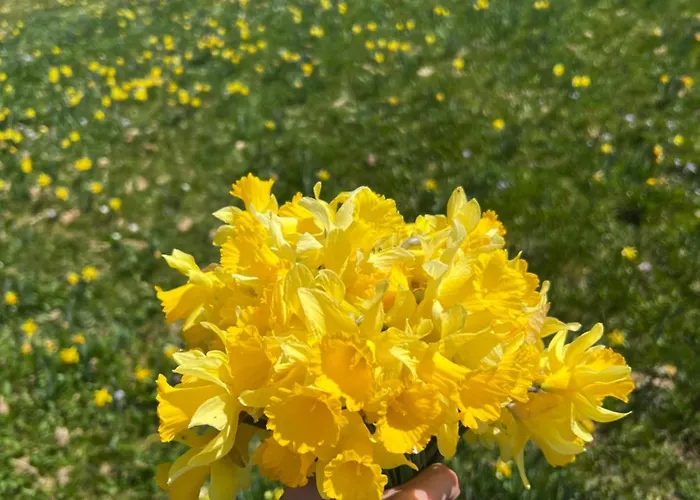 Le Petit Beillard Διαμέρισμα *