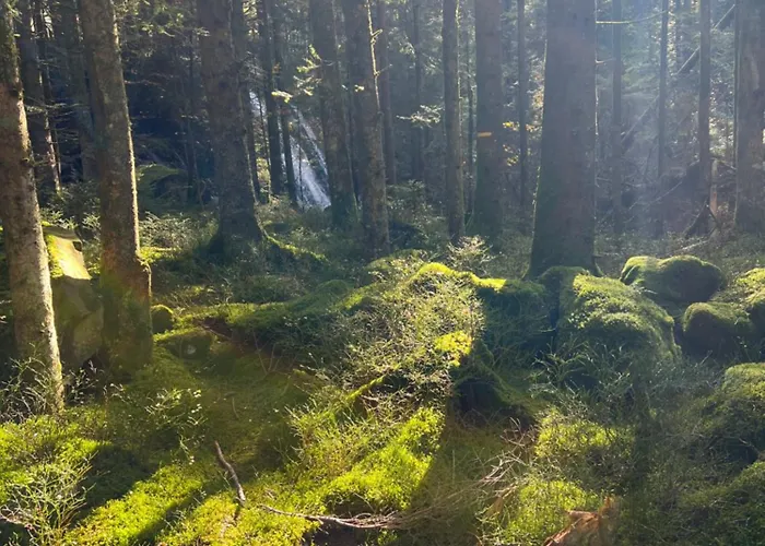 Le Petit Beillard Διαμέρισμα